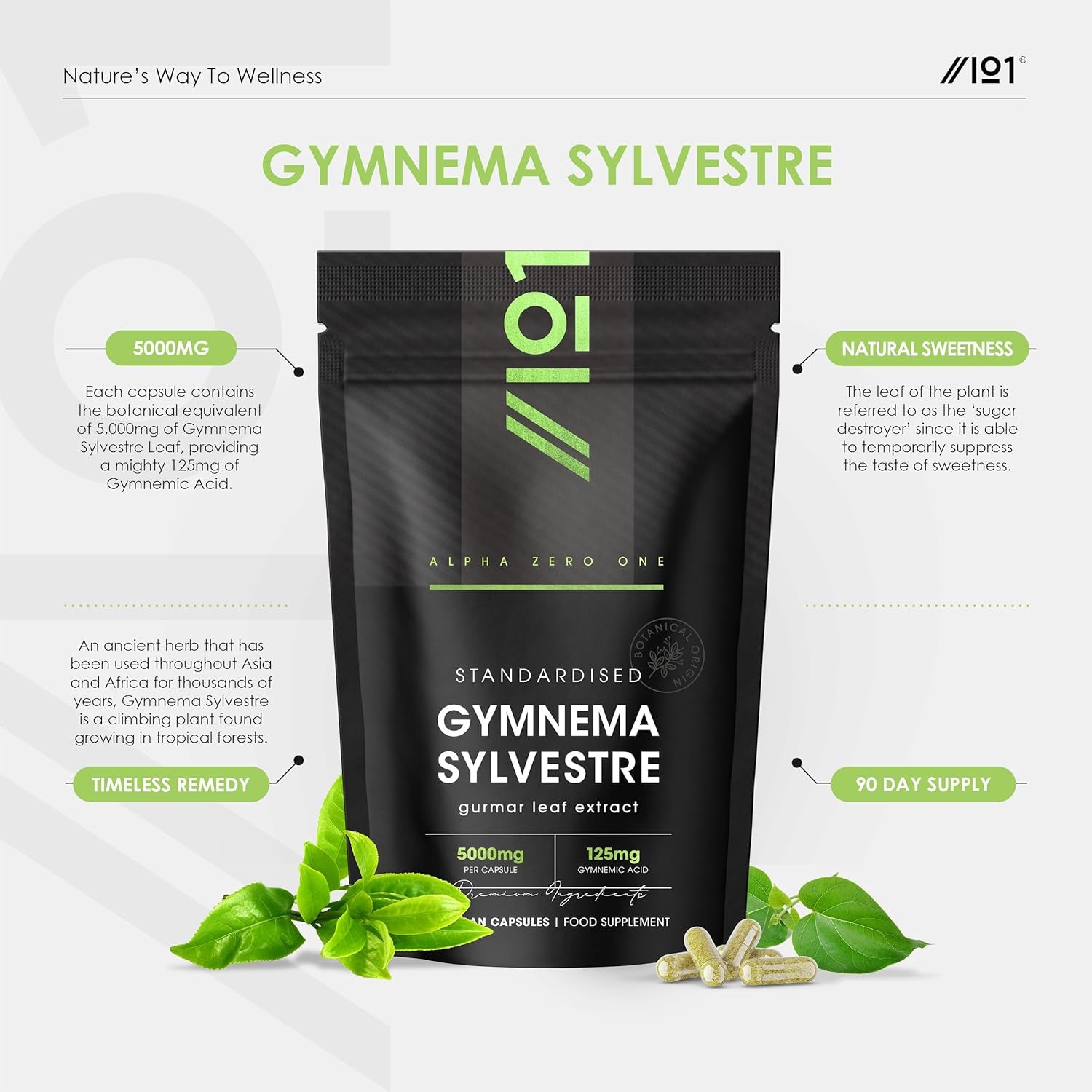 Gymnema Sylvestre Leaf 5000Mg – Standardised 125Mg Gymnemic Acid – 90 Vegan Capsules (3 Months Supply) – Resealable and Recyclable Pouch by Alpha01