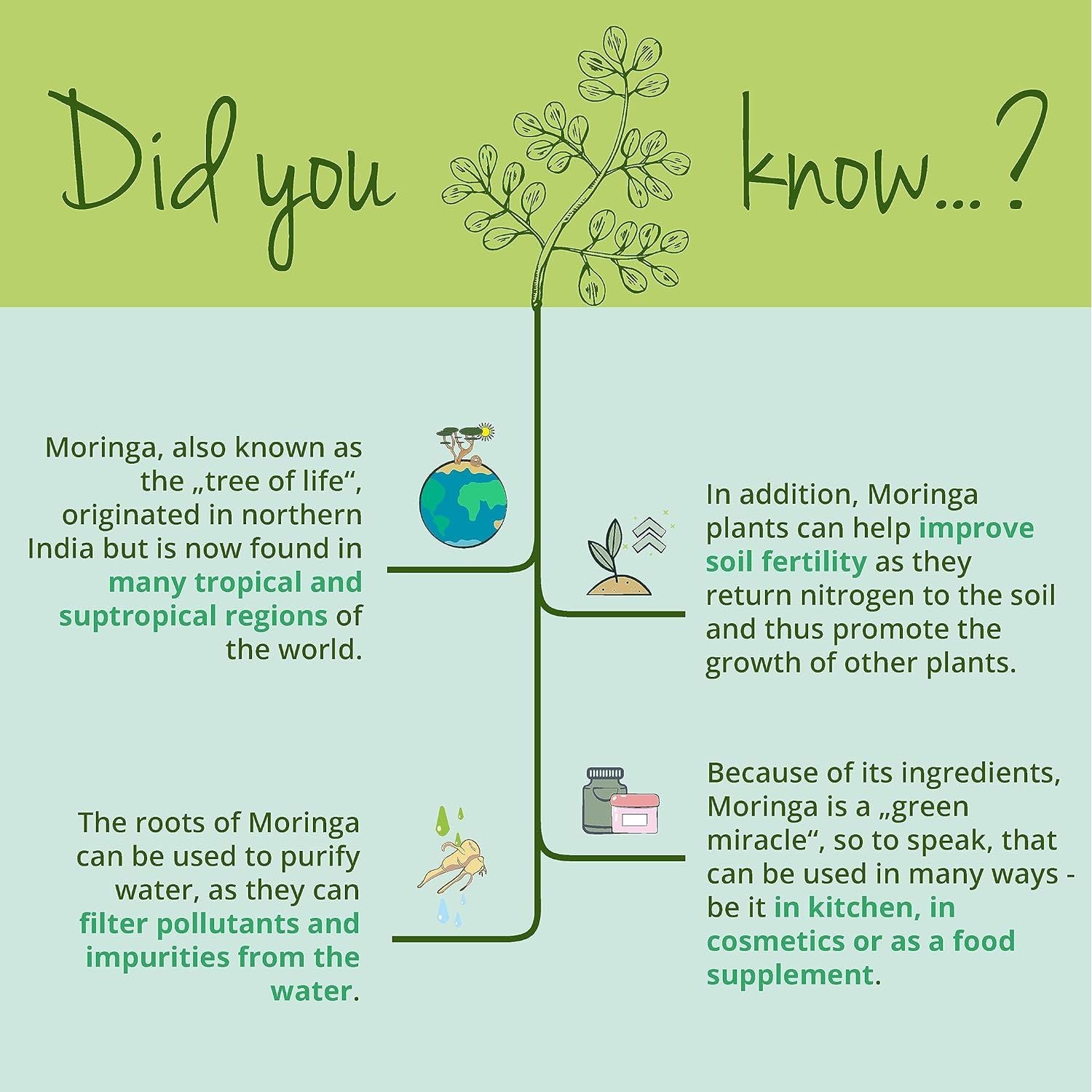 Vegavero Organic Moringa Oleifera Tablets 2000 Mg | Pure Powder - Premium Quality | Lab-Tested & Non-Gmo | Malunggay Supplement | 180 Tablets | Vegan