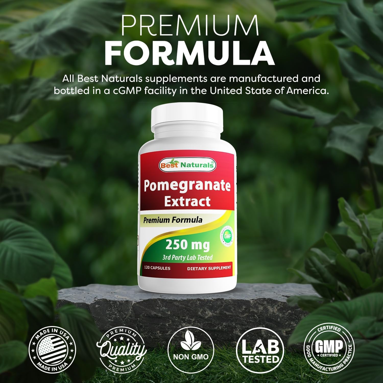 Best Naturals Pomegranate Extract 250 Mg 120 Capsules (120 Count (Pack of 1))