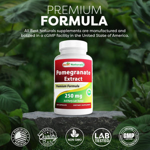 Best Naturals Pomegranate Extract 250 Mg 120 Capsules (120 Count (Pack of 1))