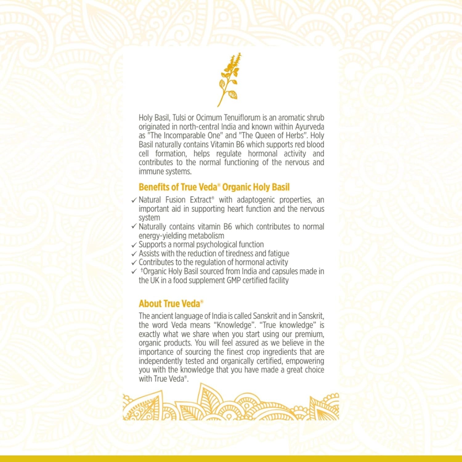 Holy Basil Capsules - Organic Vitamin B6 Capsules | Tulsi Capsules | Soil Association Certified Organic Holy Basil Extract 15:1 | High Strength 2.5% Ursolic Acid | 60 Easy Swallow Tulsi Powder Pills