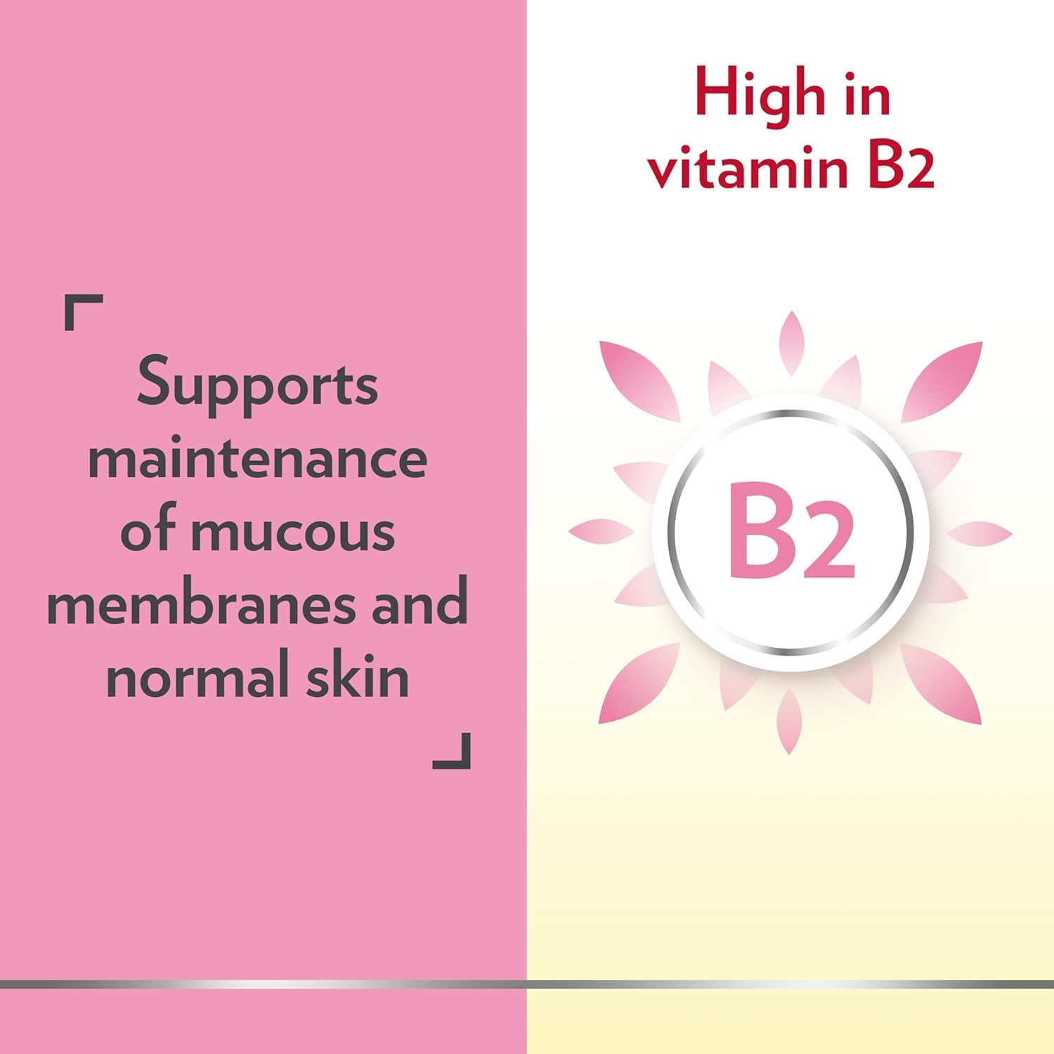 Canesten Canesbiotics, Oral Capsules with Live Friendly Bacteria Naturally Present in the Vaginal Flora, 4 Billion Live Cultures, Vitamin B2, Food Supplement, 30 Capsules