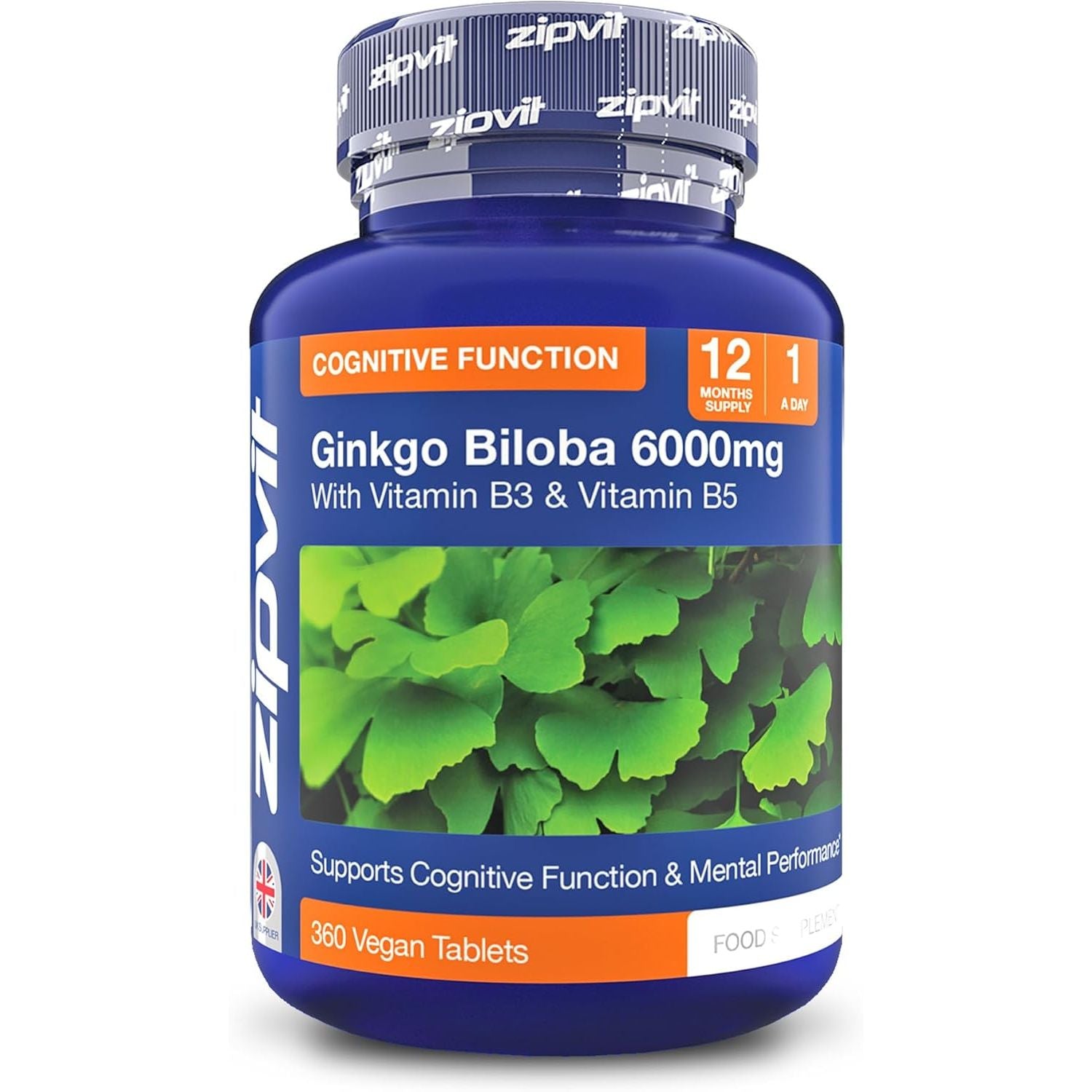 Zipvit Ginkgo Biloba 6000Mg with Vitamins B3 & B5, 360 Vegan Tablets, Supports Memory, Focus, Brain Health & Cognitive Wellness, Standardised 50:1 Leaf Extract, 12 Months Supply.