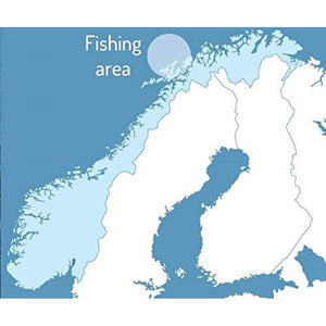 Cod Liver Oil, High in EPA & DHA, NORSAN Arktis, Natural Fish Oil, 200 Ml Bottle