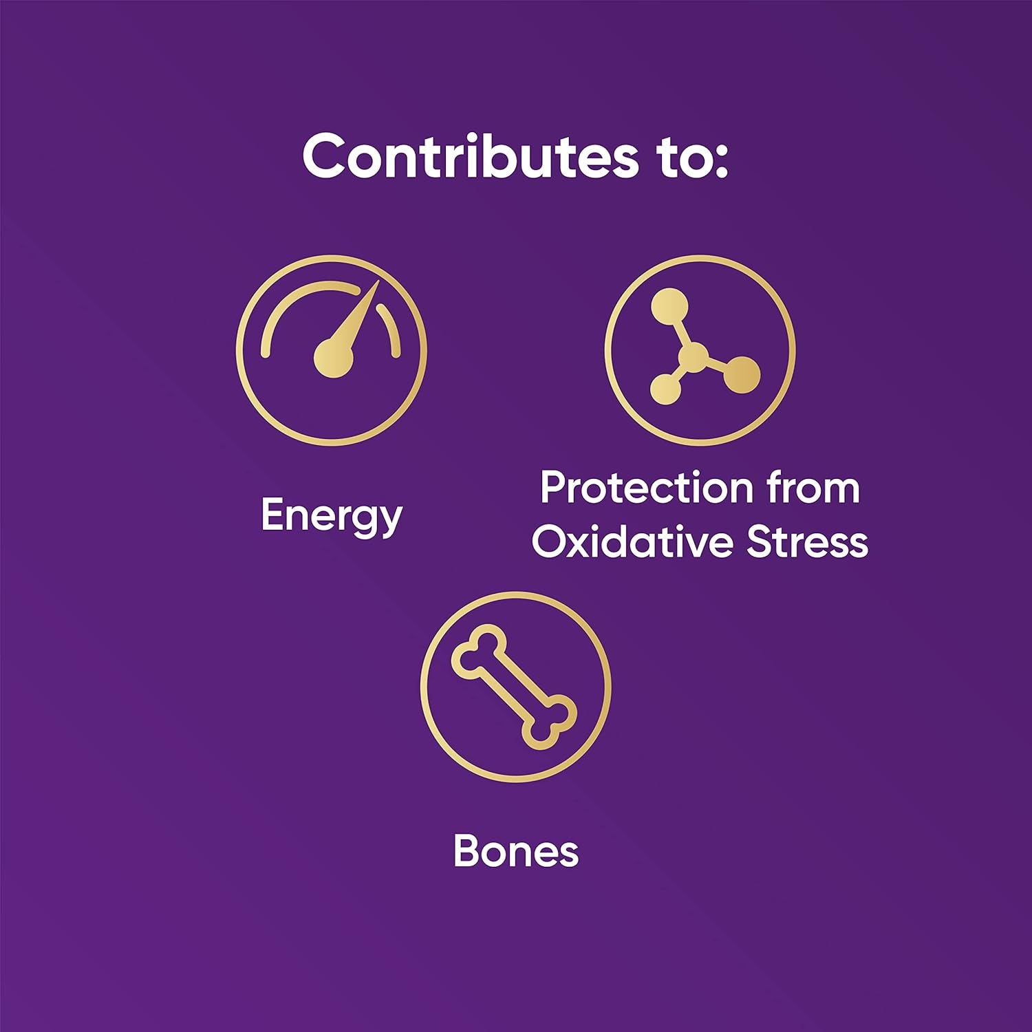 Naturya Organic Açaí Powder - Wild-Harvested from Amazonian Açaí Palms, Rich in Manganese & Vitamin A, High in Fibre, Antioxidant Superfood, Gluten-Free, Vegan - 125G Pouch