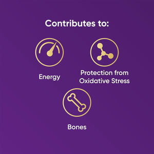 Naturya Organic Açaí Powder - Wild-Harvested from Amazonian Açaí Palms, Rich in Manganese & Vitamin A, High in Fibre, Antioxidant Superfood, Gluten-Free, Vegan - 125G Pouch