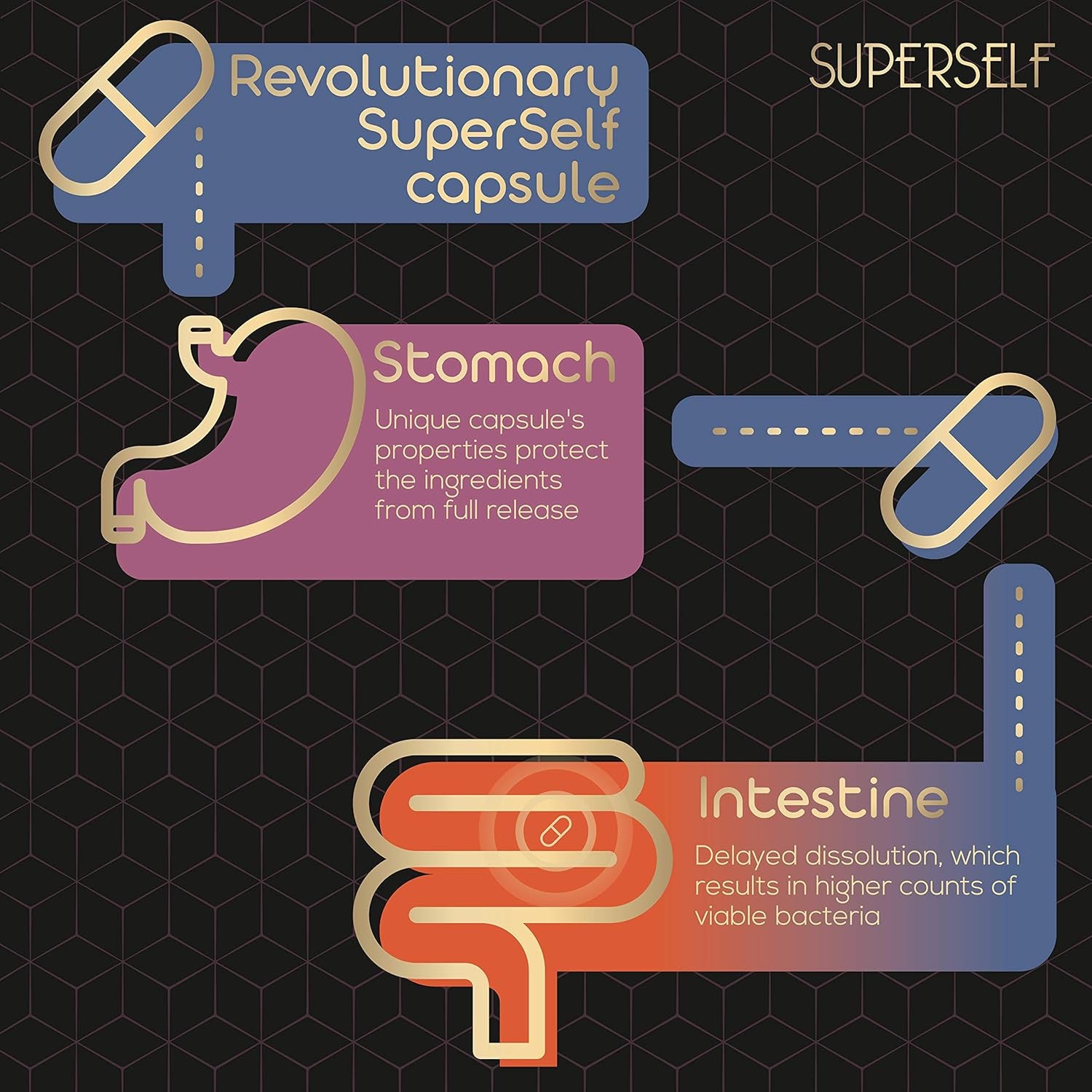 Probiotics Bio Cultures Complex - Gut Health Probiotic Supplements for Men & Women - 20 Billion CFU - 30 Acid-Resistant Capsules - Multi-Strain Vegan Prebiotics & Probiotics Tablets with Acidophilus