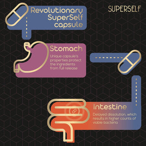 Probiotics Bio Cultures Complex - Gut Health Probiotic Supplements for Men & Women - 20 Billion CFU - 30 Acid-Resistant Capsules - Multi-Strain Vegan Prebiotics & Probiotics Tablets with Acidophilus