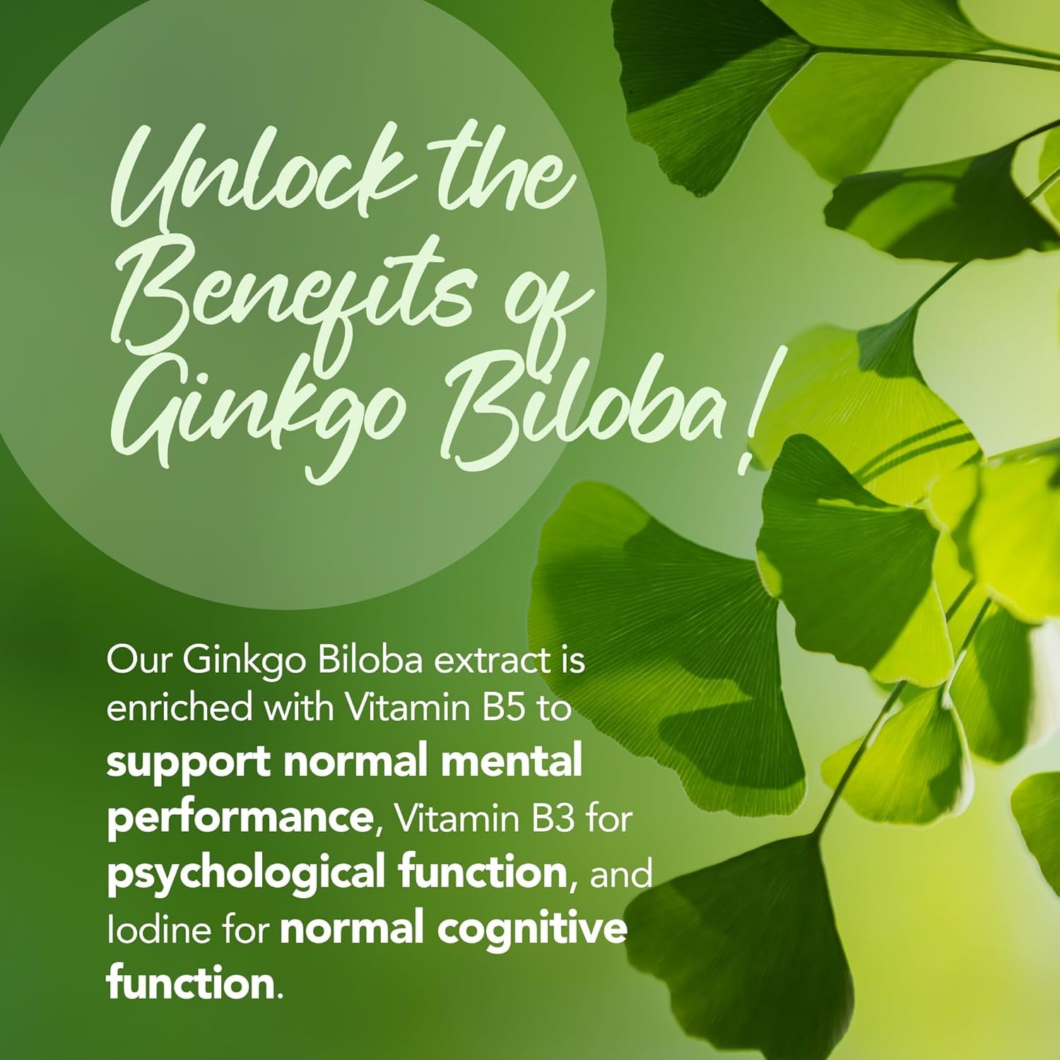 Zipvit Ginkgo Biloba 6000Mg with Vitamins B3 & B5, 360 Vegan Tablets, Supports Memory, Focus, Brain Health & Cognitive Wellness, Standardised 50:1 Leaf Extract, 12 Months Supply.