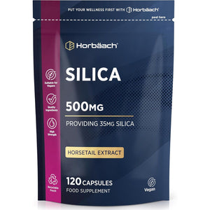 Silica Supplement 500Mg | High Strength Silica from Horsetail Extract | 120 Powder Capsules | Vegan | 4 Month Supply | by Horbaach