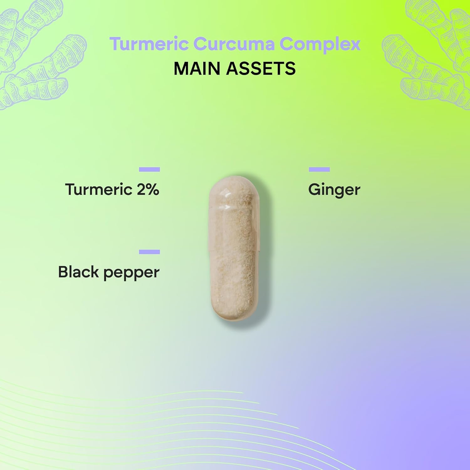 Turmeric & Black Pepper 1420Mg - High Strenght Complex - Organic Turmeric Curcumin Ginger - Supplement Powder in Capsules - 120 Vegan Organic Capsules Nutralie