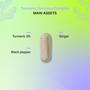 Turmeric & Black Pepper 1420Mg - High Strenght Complex - Organic Turmeric Curcumin Ginger - Supplement Powder in Capsules - 120 Vegan Organic Capsules Nutralie
