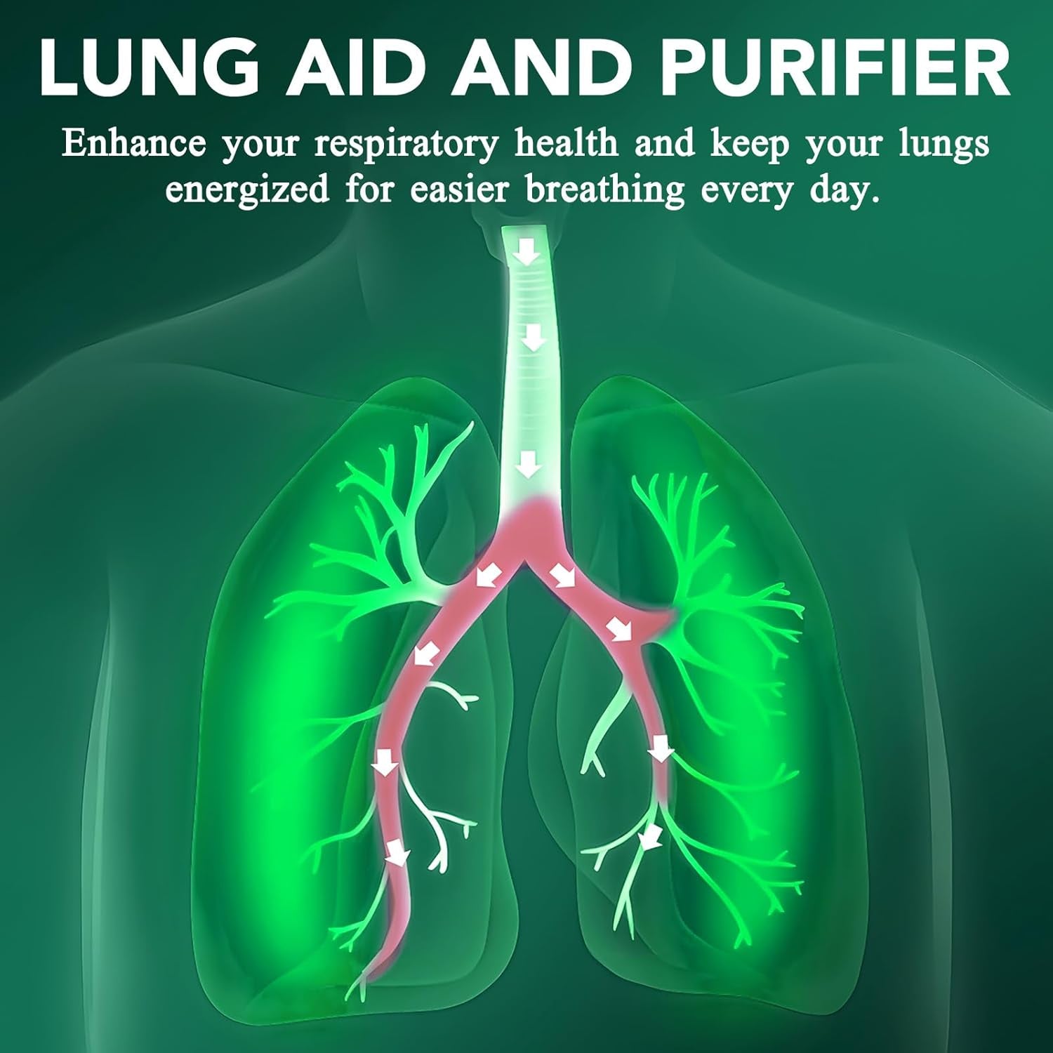 Mullein Drops for Lungs - Mullein Leaf Extract Supplement - Lung Cleanse Respiratory for Smokers - 2.02 Fl Oz