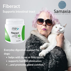 Fiberact for Dogs & Cats – Natural Gut Health & Gland Support – Helps Reduce Hairball Build-Up & Maintain Normal Stool Consistency – Supports Scooting Reduction – Blond Psyllium Powder 100G