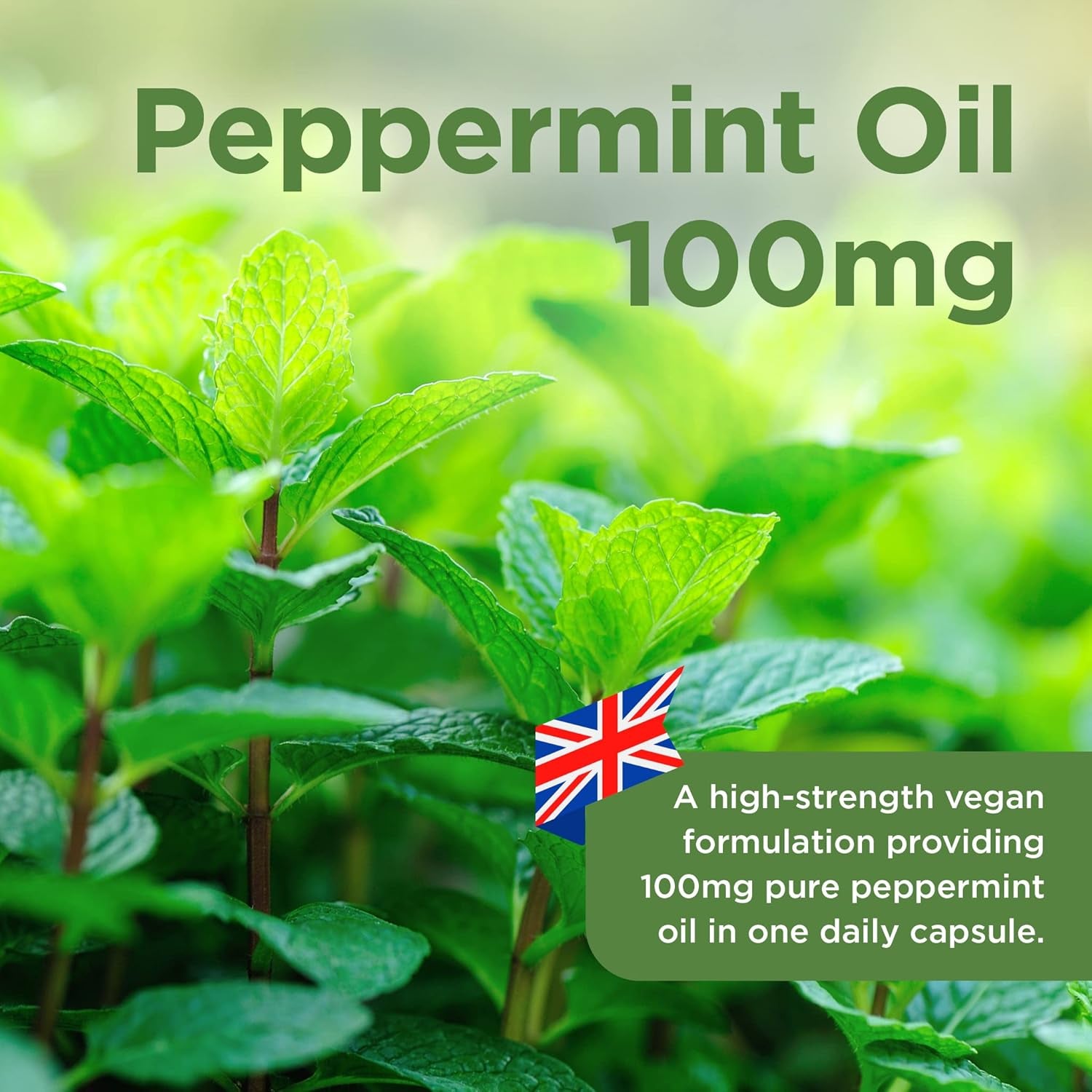 Healthspan High Strength Peppermint Oil 100Mg (180 Capsules) | Helps to Support a Healthy Digestion | One-A-Day & Easy to Swallow Capsule | Vegan