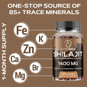 Shilajit Gummies 1400Mg, Shilajit Supplement with Chaga and Ashwagandha, Original from Himalayan with Fulvic & Humic Acid and 85+ Minerals, for Energy, Immunity & Focus, Sugar-Free, 60 Gummies