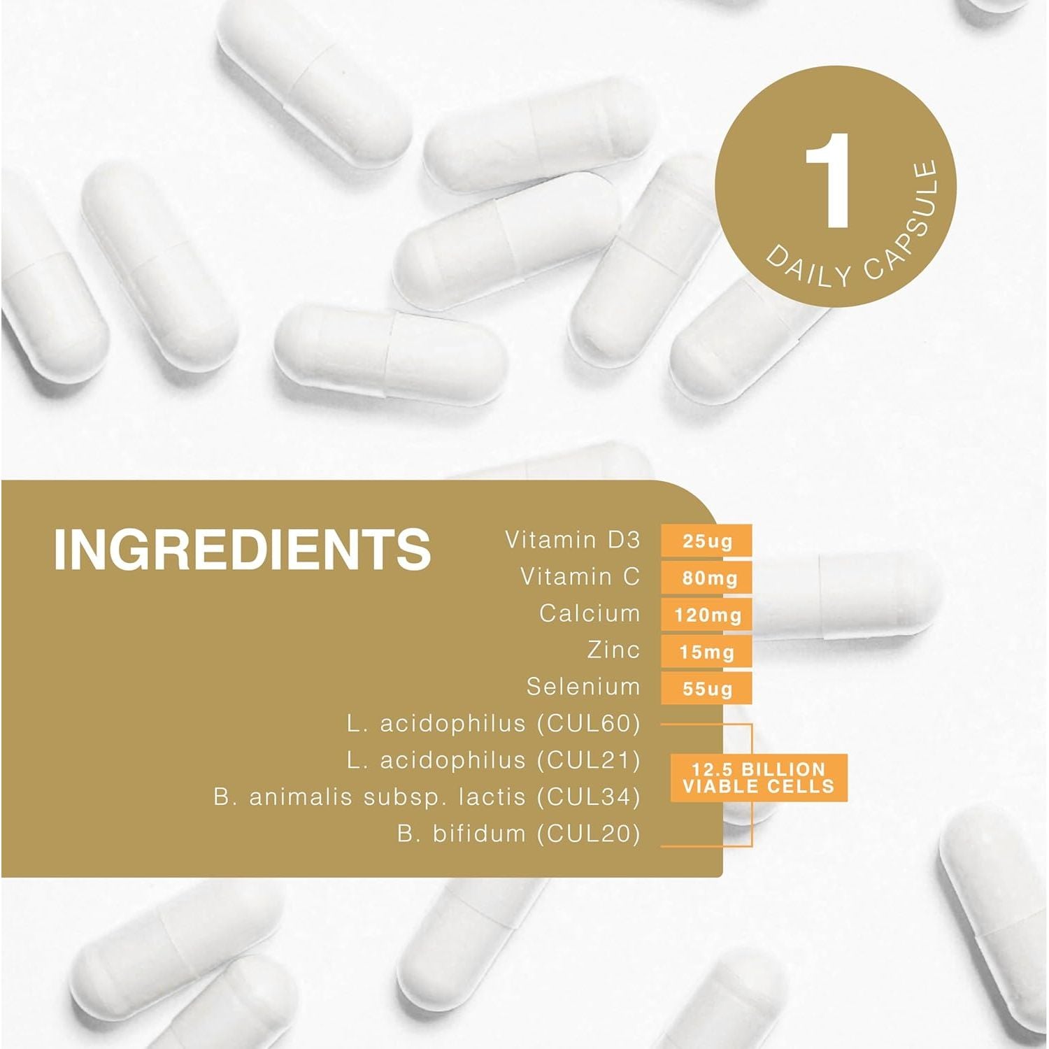 Pro-Ven Probiotics for Adults | Digestive Health & Immune System Support | 25 Billion CFU & Multivitamin Supplement | High-Strength Gut Support | 30 Capsules