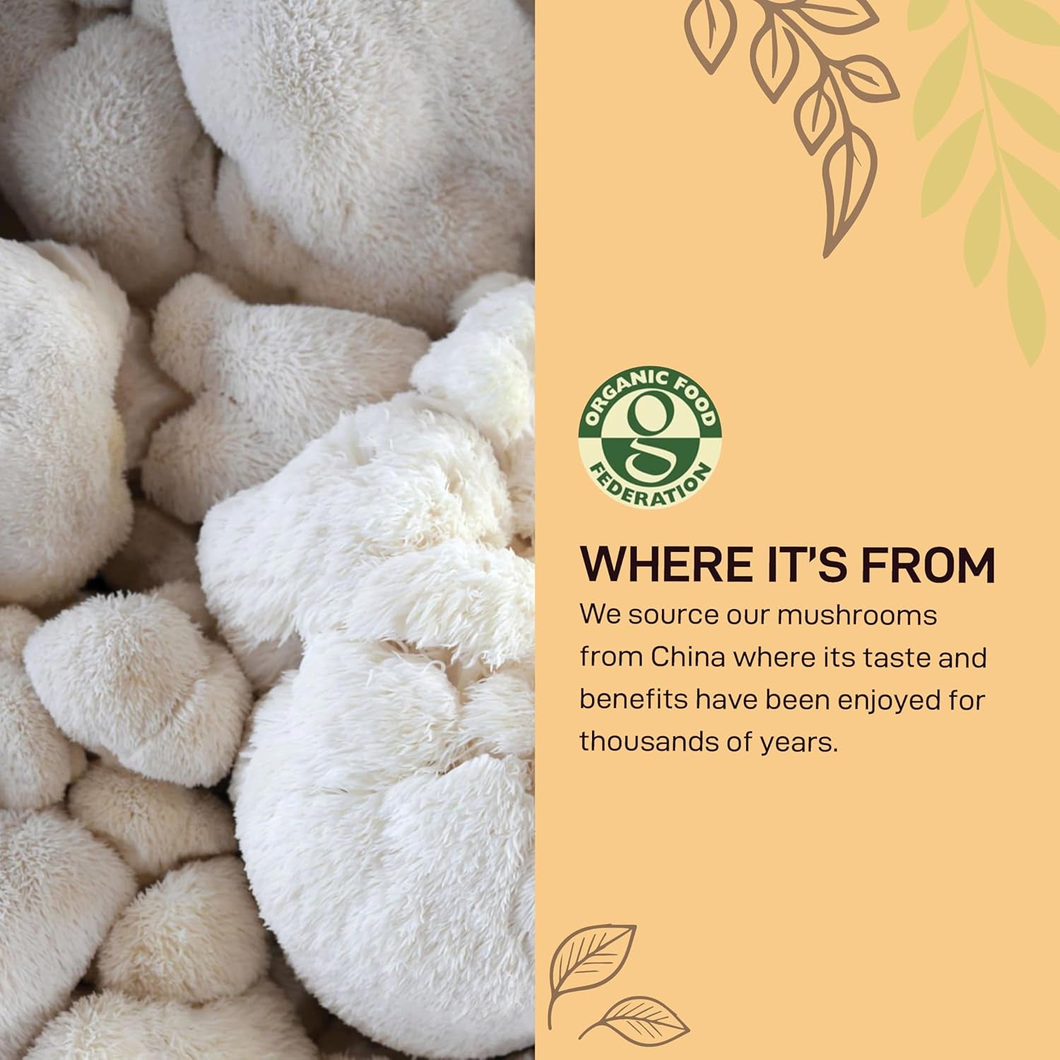 Nutricraft Organic Lion’S Mane Mushroom Powder - 1Kg, 100% Pure Botanical Food, No Preservatives, Vegan & Gluten-Free, Boosts Immune System, High in Nutrients, Use in Smoothies and Food