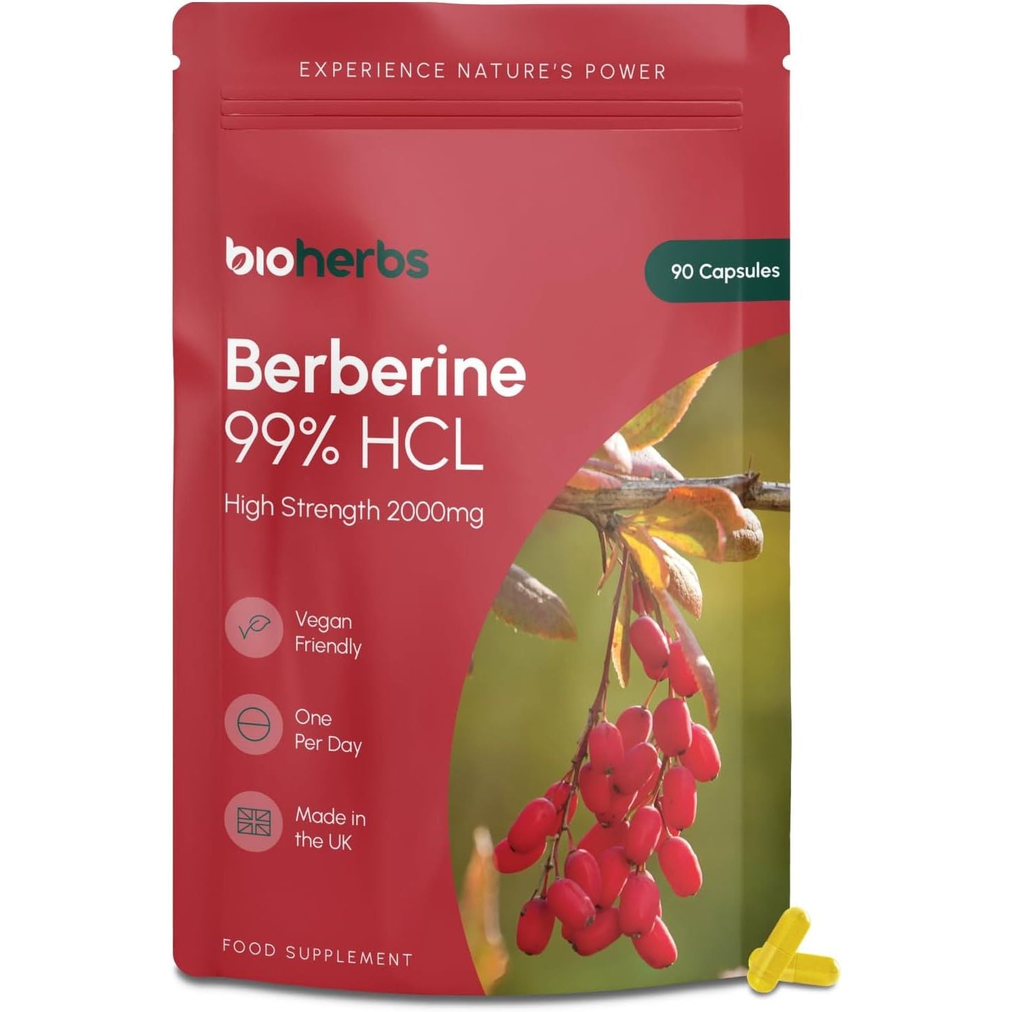 Berberine HCL Supplement High Strength - 2000Mg 99% HCL by Bioherbs | 90 One-Per-Day Capsules (3-Month Supply)