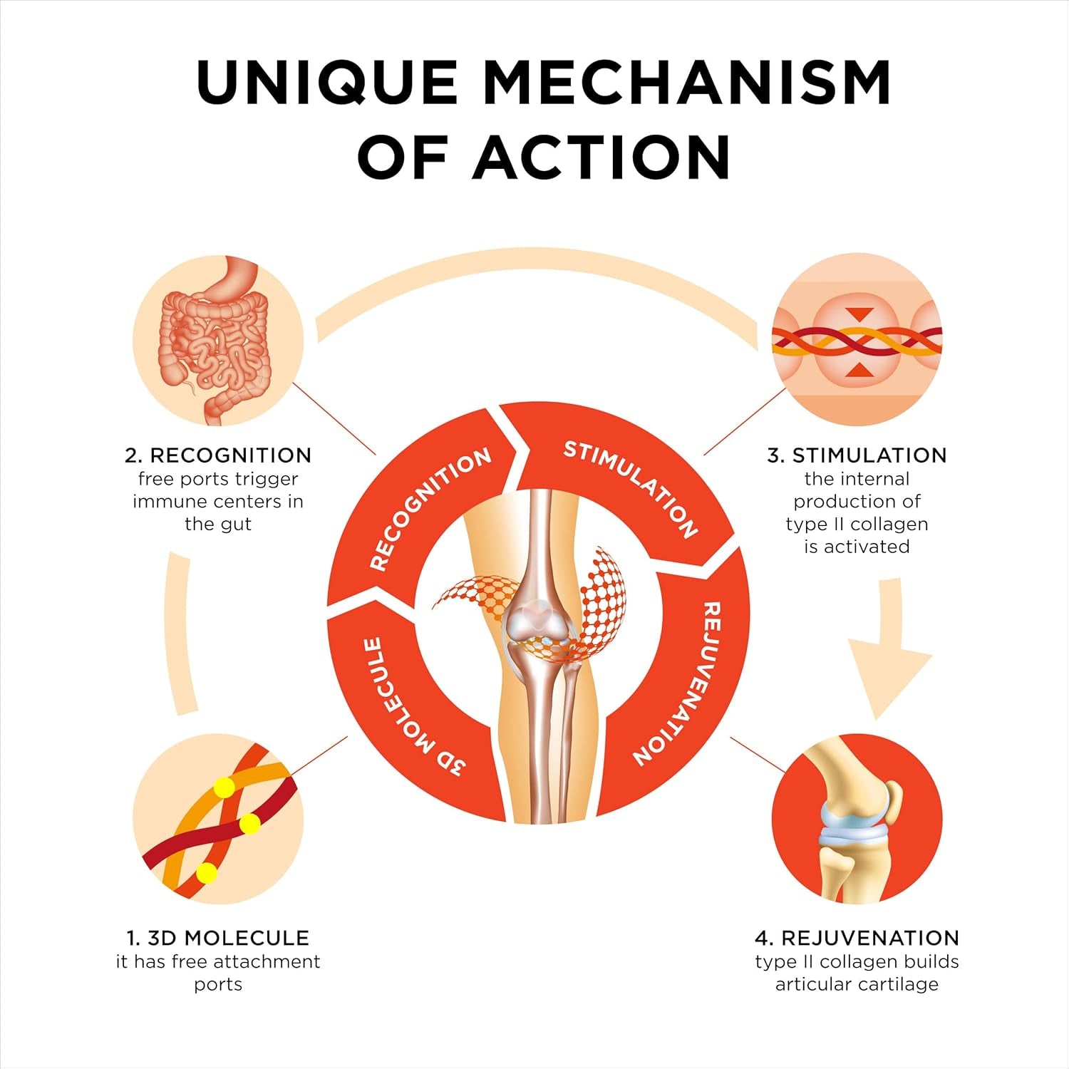 Collanol - the Revolution in Joint Health Care - Liquid Formula in a Double Capsule 3D Collagen + Micellar Extract of Turmeric Roots 1 Capsule/Day. Laboratory Tested (20 Count (Pack of 3))