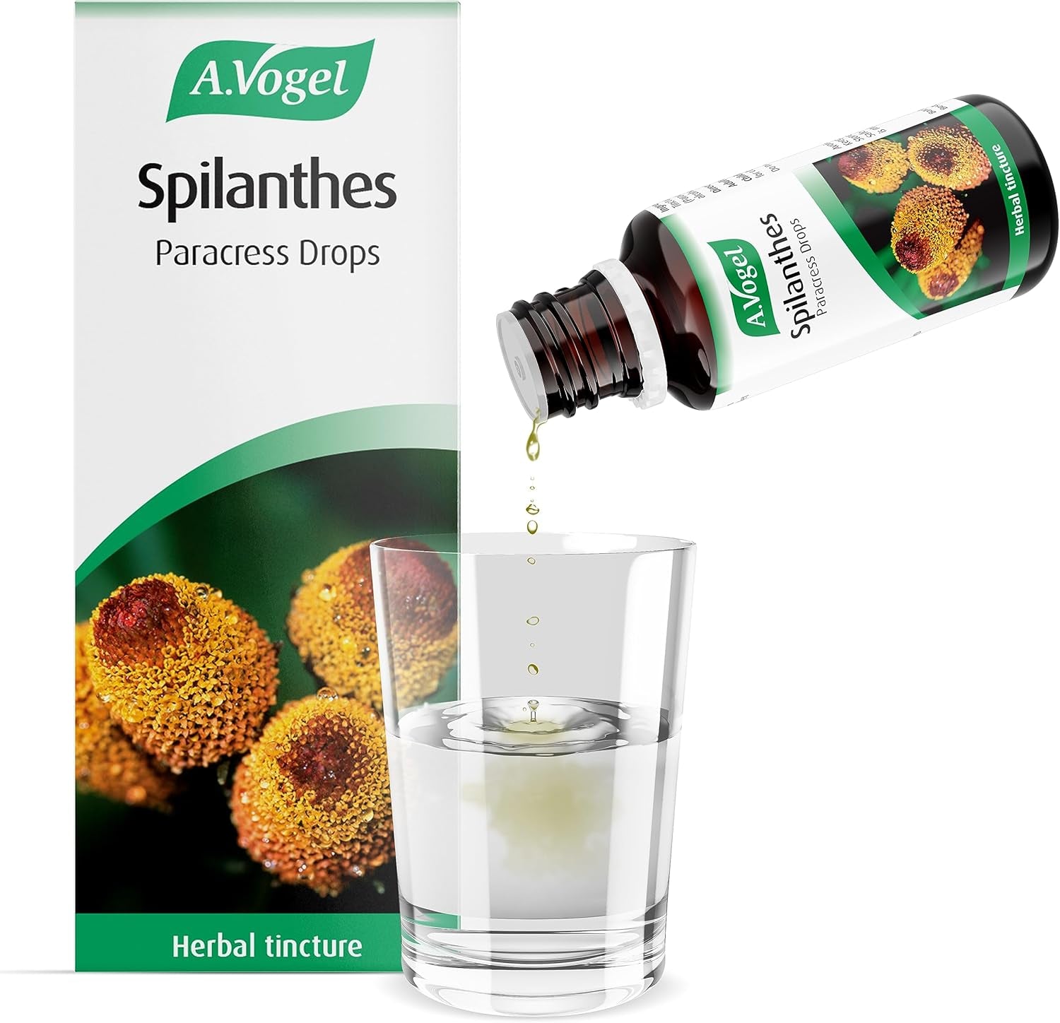 A.Vogel Spilanthes Paracress Drops | Extract of Organically Grown Spilanthes Oleracea | Suitable for Vegans | 50Ml