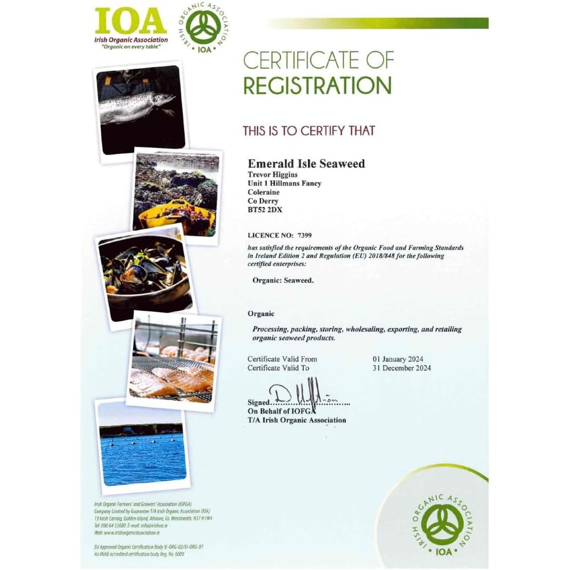 Triple Blend Seaweed Tablets 500 Mg 90 Capsules Certified Organic Harvested in North Atlantic Coast of Ireland