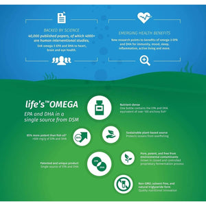 Vegan Omega 3 – EPA & DHA from Algae Oil – Premium Brand – Carrageenan-Free – Sustainable Algal Alternative to Fish Oil – Vegetarian Essential Fatty Acids – UK Made Supplement (120 Count (Pack of 1))