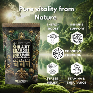 Shilajit Seamoss Capsules with Lion'S Mane, Ashwagandha, and Cordyceps – 120 Vegan Capsules for Energy, Focus, and Wellness