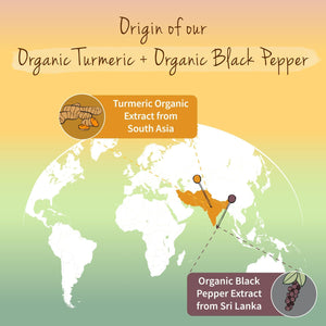 Vegavero Organic 14,200 Mg Turmeric and Black Pepper Capsules High Strength | Curcumin 152 Mg and Piperine 9,5Mg | NO Additives, Lab-Tested