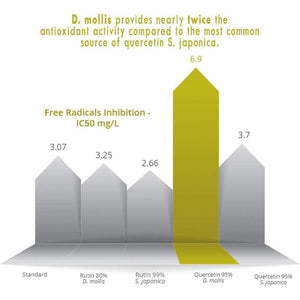 Quercetin Capsules - Naturally Derived - Maximum Antioxidant Action - UK Made - Free from Synthetic Additives - Vegan - Pullulan (120 Capsule Pouch)