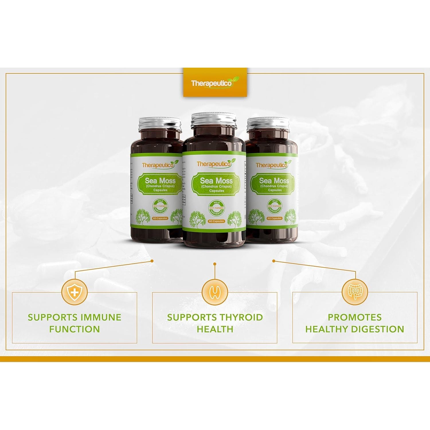 Sea Moss Capsules | Wild Harvested | 60 Veg Capsules | Full Spectrum | Chondrus Crispus | Premium Supplement | Vegan | No Binders, Fillers, Additives | UK Made