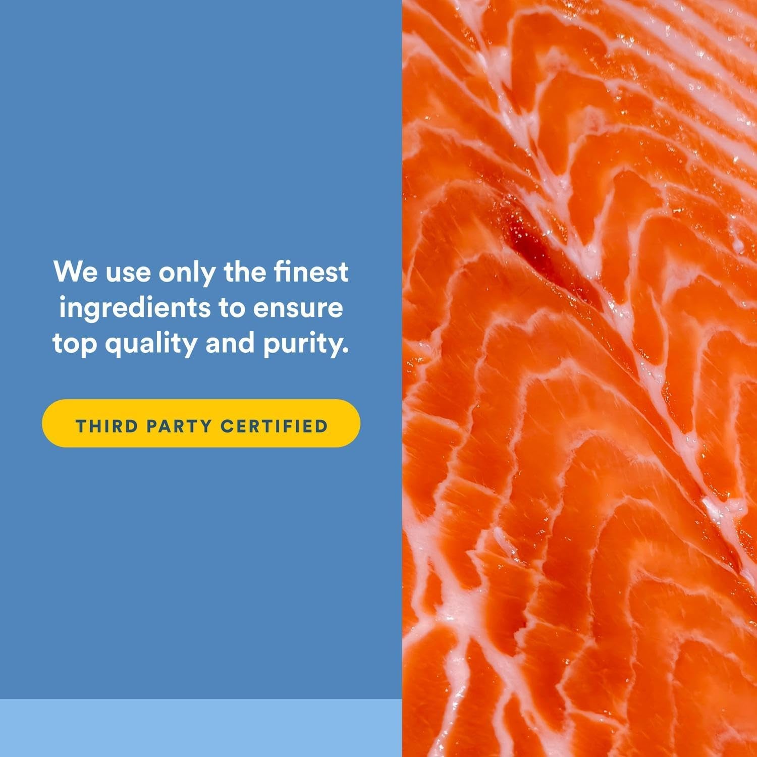 Natural Factors, Omega Factors, Wild Pacific/Alaskan Salmon Oil, 1000 Mg, 180 Softgels.