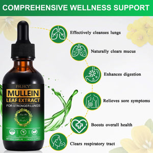 Mullein Drops for Lungs 60ML Mullein Leaf Extract & Chlorophyll Drops for Lung Cleanse Vegan & Health Supplements Fast Absorption
