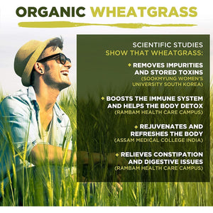 Wheatgrass Capsules | Organic | 1500Mg per Serving | 180 Capsules | High Chlorophyll Content | Mysuperfoods