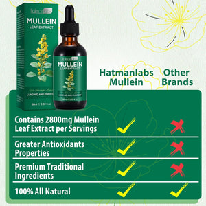 Mullein Drops for Lungs, Mullein Leaf Extract Supplement, Natural Mullein Herbal Supplements, Mullein Leaf Extract for Lung Cleanse and Respiratory Support - 2.02 Fl Oz