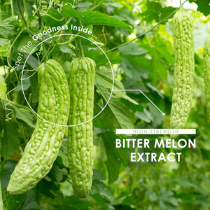 Bitter Melon Extract 16,500Mg (Karela) – 60 Vegan Capsules (2 Months Supply) – Resealable and Recyclable Pouch by Alpha01 (Natural)