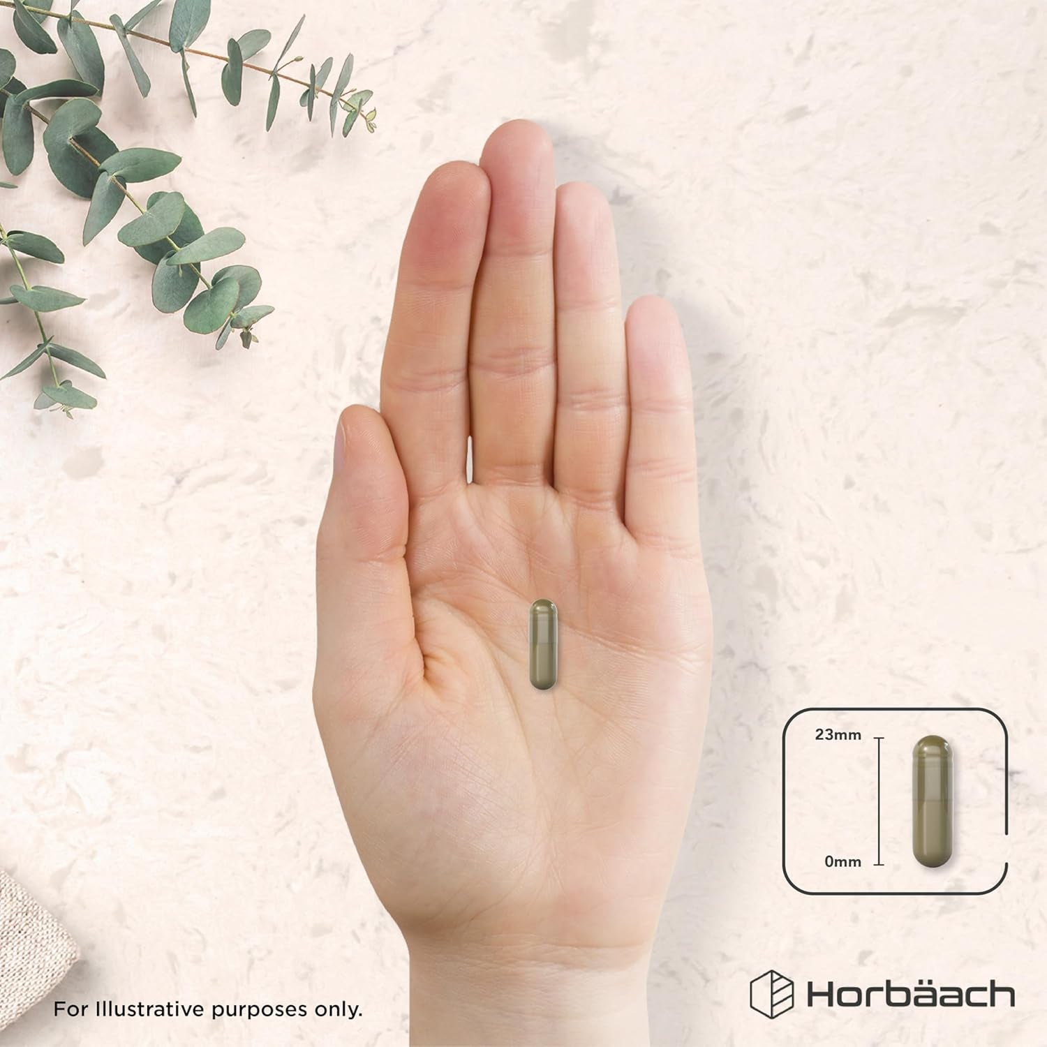 Organic Lions Mane Supplement 3000Mg | High Strength | Certified Organic by the Soil Association | Mushroom Fruiting Bodies Extract | 120 Vegan Capsules | by Horbaach