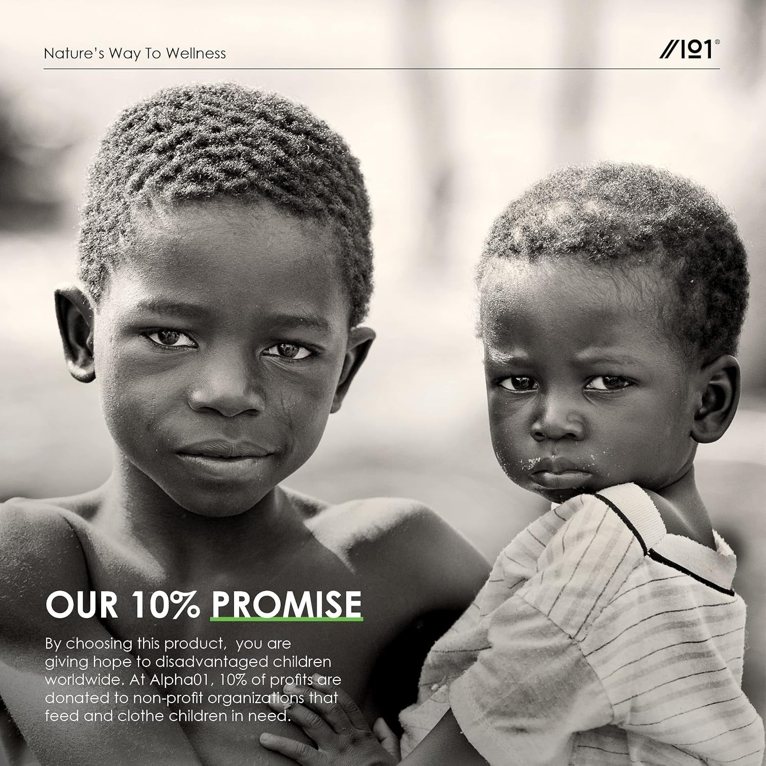 Organic Alfalfa 1200Mg - 120 Vegan Capsules (2 Months Supply) – High Strength Alfalfa Supplement – Resealable and Recyclable Pouch – by Alpha01