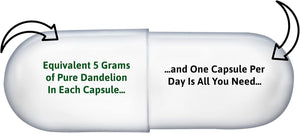 High-Strength Dandelion Extract Capsules (10:1) 5,000Mg per Capsule - 90 per Bottle, Vegan Safe, UK Manufactured