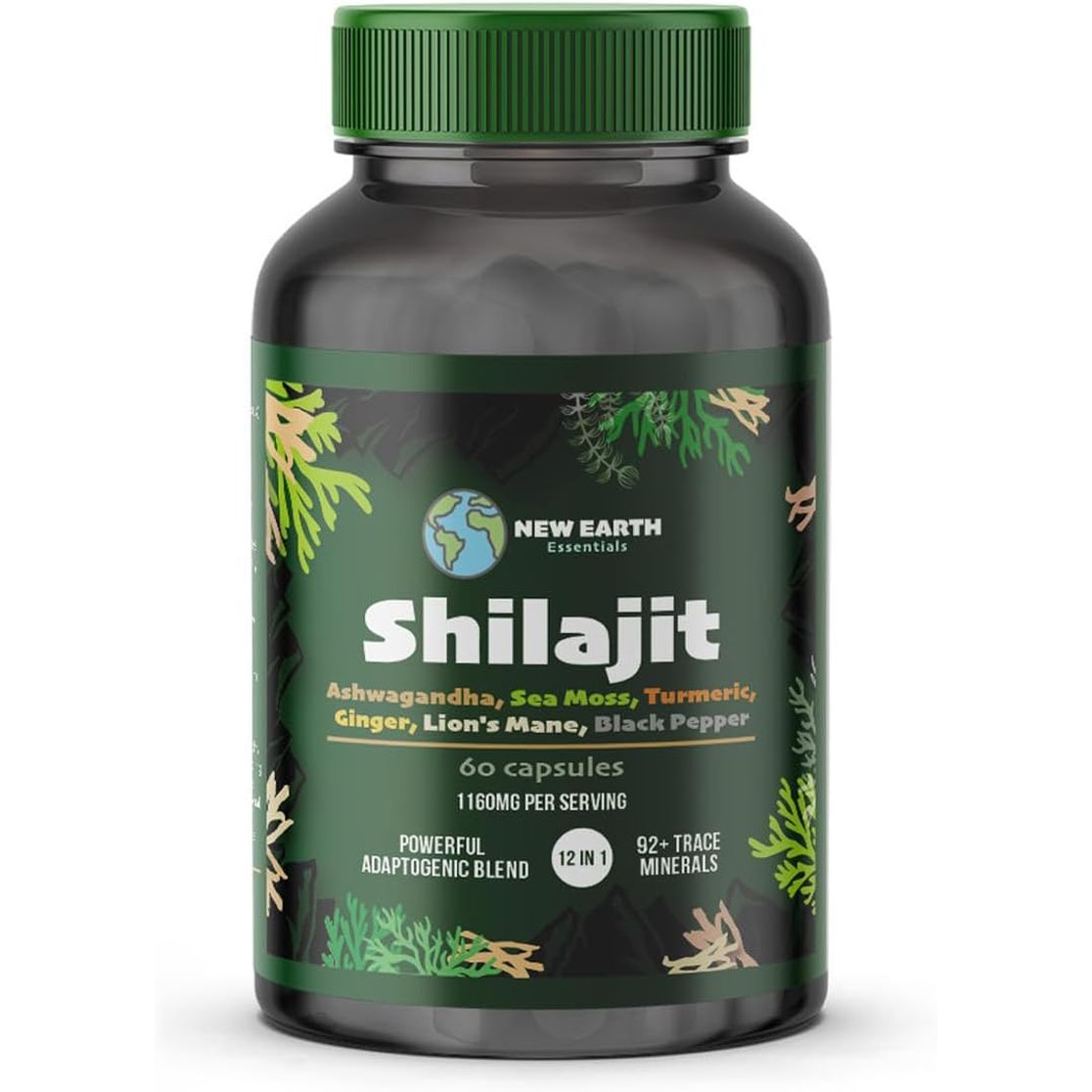Shilajit Sea Moss Lions Mane Ashwagandha Turmeric Ginger Black Pepper Vitamins D3 & C Zinc Magnesium - 60 Vegan Capsules - 2320Mg per Serving