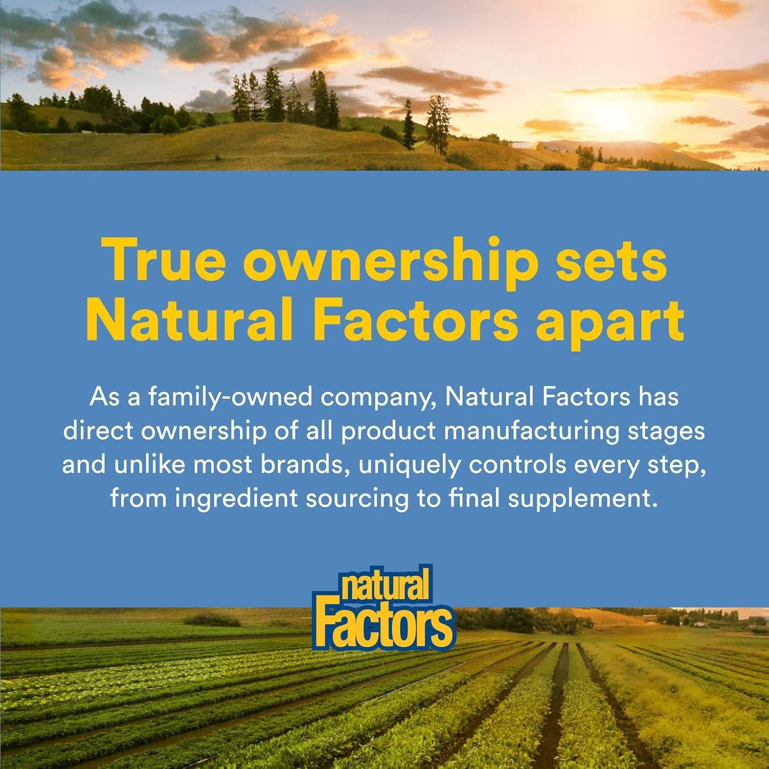 Natural Factors, Omega Factors, Wild Pacific/Alaskan Salmon Oil, 1000 Mg, 180 Softgels.