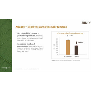 Aged Black Garlic Extract (Fermented) - 320Mg - Clinically Proven ABG10+ - Patented Formula - Standardised S-Alyll-Cysteine (SAC) - Vegan - UK Made (120 Count (Pack of 1))