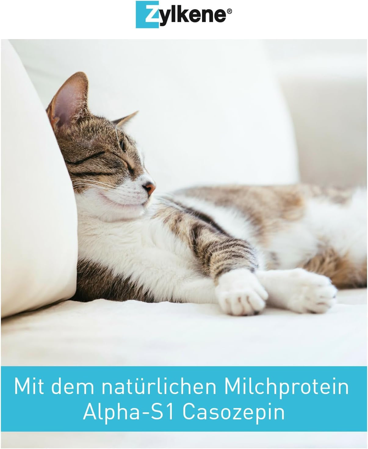 Zylkene 75 Mg - 100 Capsules (Cats & Small Dogs)