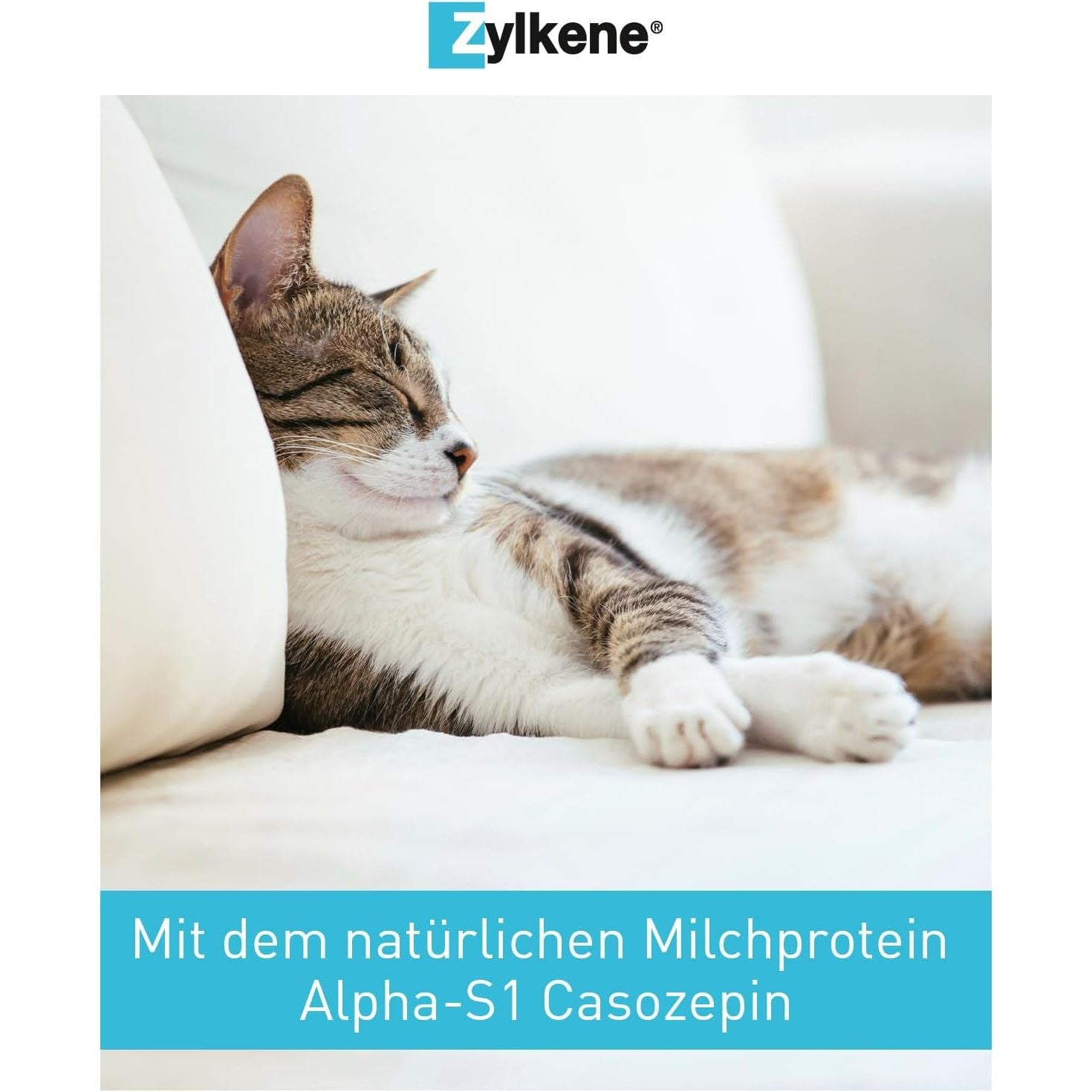 Zylkene 75 Mg - 100 Capsules (Cats & Small Dogs)