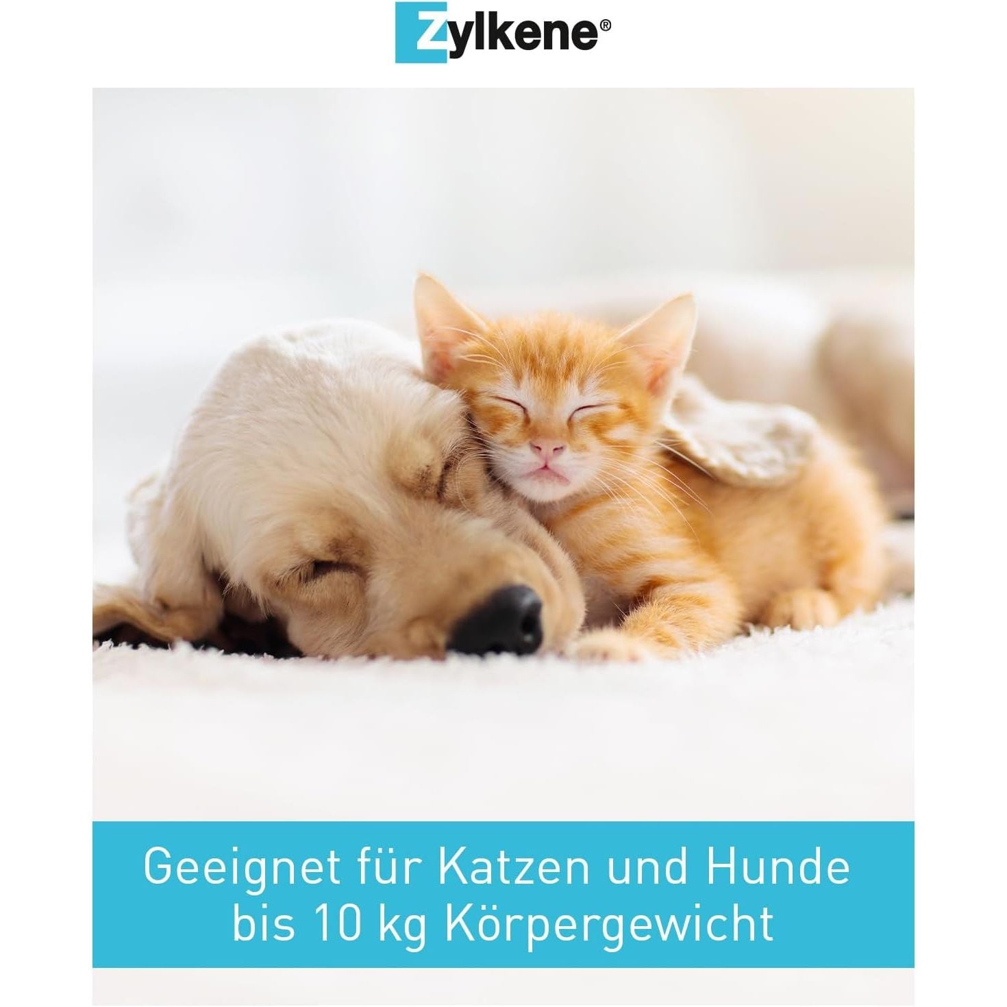 Zylkene 75 Mg - 100 Capsules (Cats & Small Dogs)