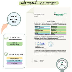 Vegavero Organic Moringa Oleifera Tablets 2000 Mg | Pure Powder - Premium Quality | Lab-Tested & Non-Gmo | Malunggay Supplement | 180 Tablets | Vegan