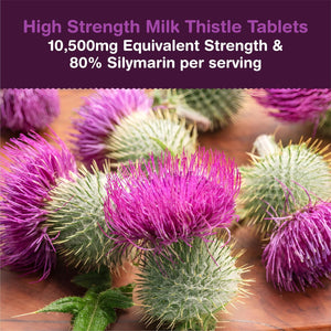 Milk Thistle High Strength Tablets 10,500Mg & 80% Silymarin per Serving | 120 Tablets | Milk Thistle Herbal Supplement | Vegan & UK Made