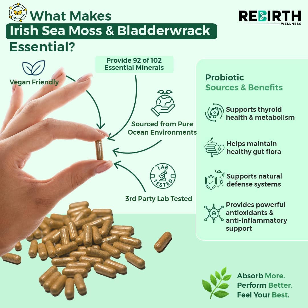Sea Moss and Bladderwrack - 60 High Strength Capsules - 2 Month Supply - Vegan Friendly -No Synthetic Fillers or Binders - Made in the UK - Rebirth Wellness