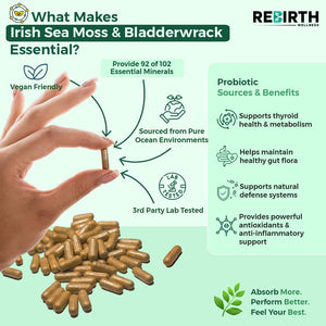 Sea Moss and Bladderwrack - 60 High Strength Capsules - 2 Month Supply - Vegan Friendly -No Synthetic Fillers or Binders - Made in the UK - Rebirth Wellness