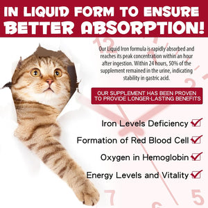 Liquid Iron Drops for Cats, Liquid Supplement for Cats Supports Anemia, Low Enery Levels and Lethargy, Improve Energy Levels & Vitality, Pet Supplies Cat Supplement Vitamins, Caramel Flavor - 2 Fl.Oz